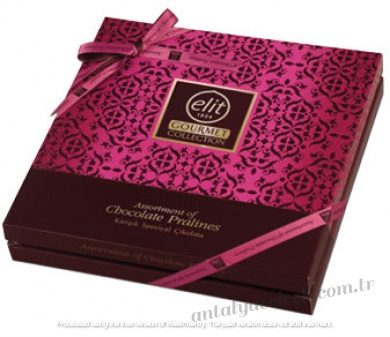 Gourmet Collection Spesiyal Pembe Kutu 365 Gr