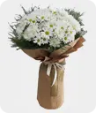 https://antalyaecicek.com.tr