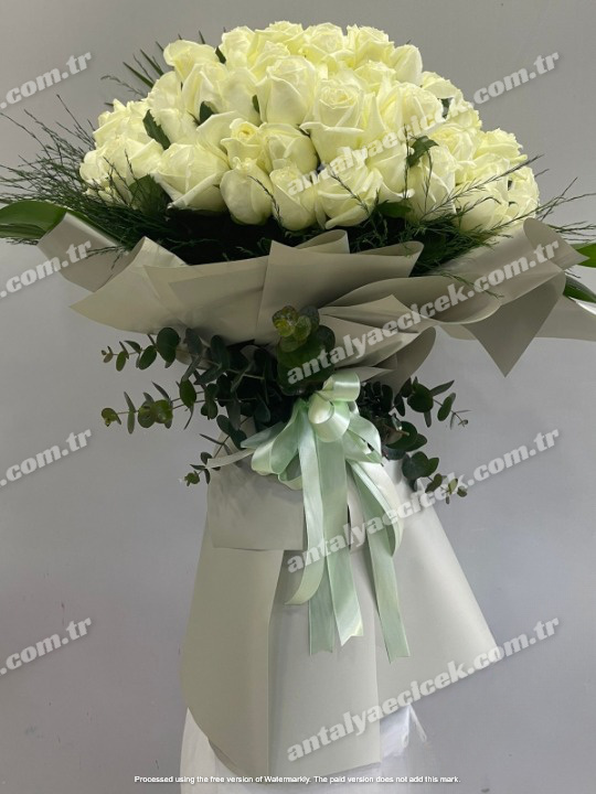 101 Beyaz Gül Buketi