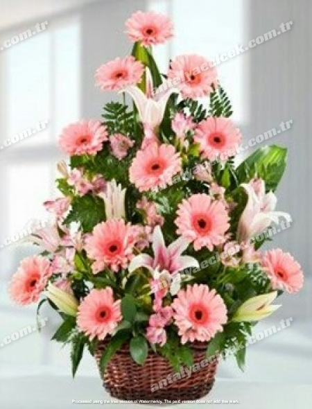 Çiçek Aranjmanı Pembe