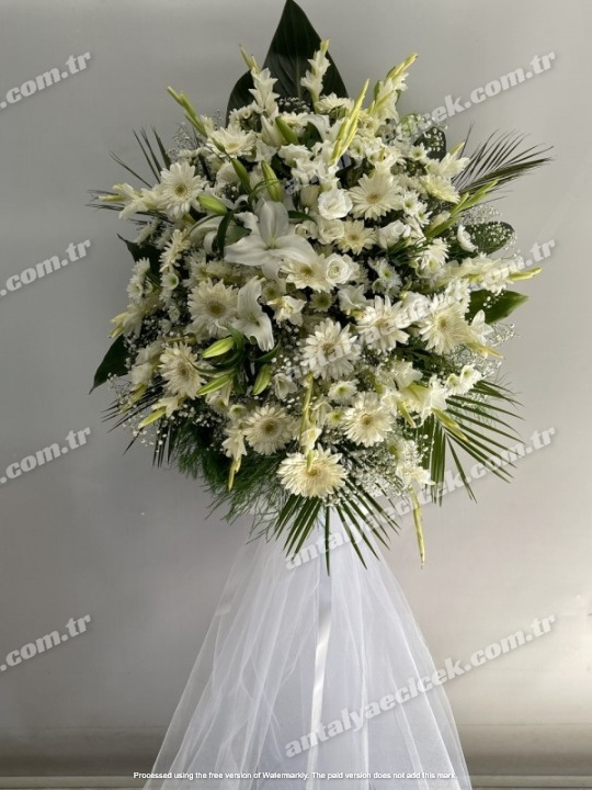 Beyaz Gerbera Ferforje Düğün Açılış