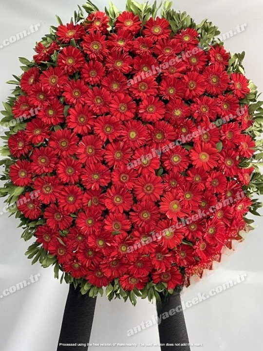 Kırmızı Cenaze Çelengi