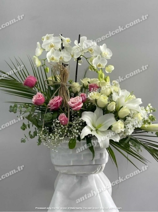 Orkide Çiçek Aranjmanı