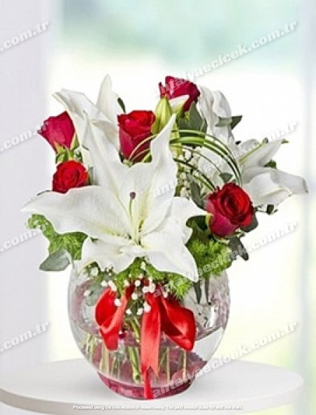 Fanusta Lilyum ve Gül