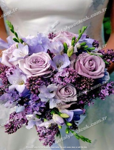 Gelin Çiçeği Lila Mor