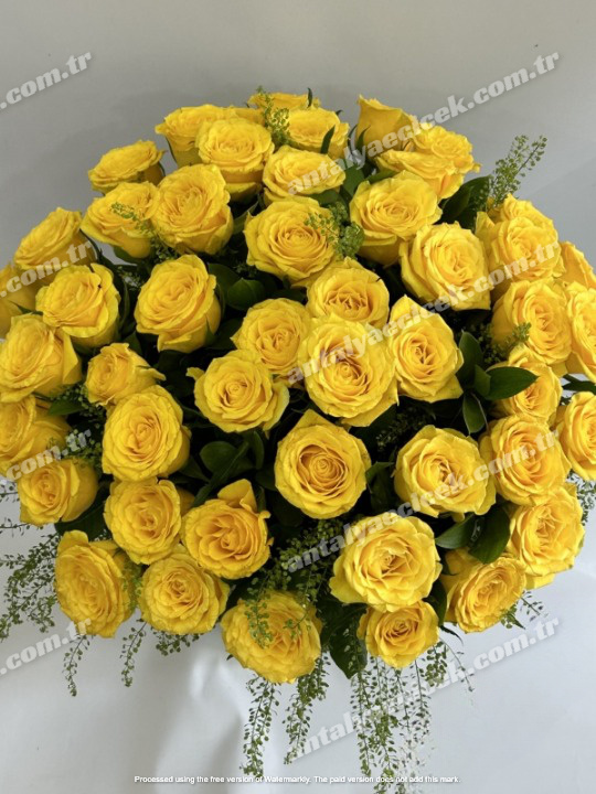 Grand Vazoda İthal Sarı Gül