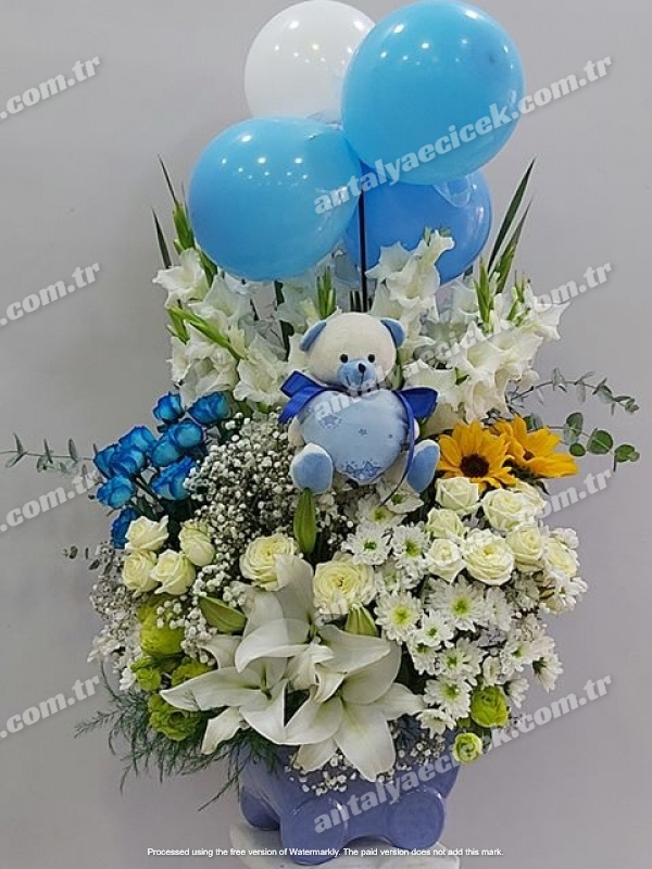 Hoşgeldin Erkek Bebek Çiçeği