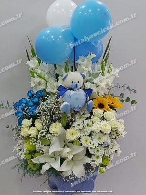 Hoşgeldin Erkek Bebek Çiçeği