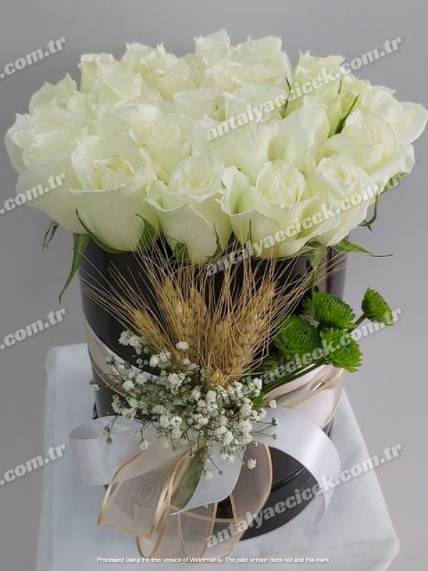 Kutuda İthal Beyaz Güller