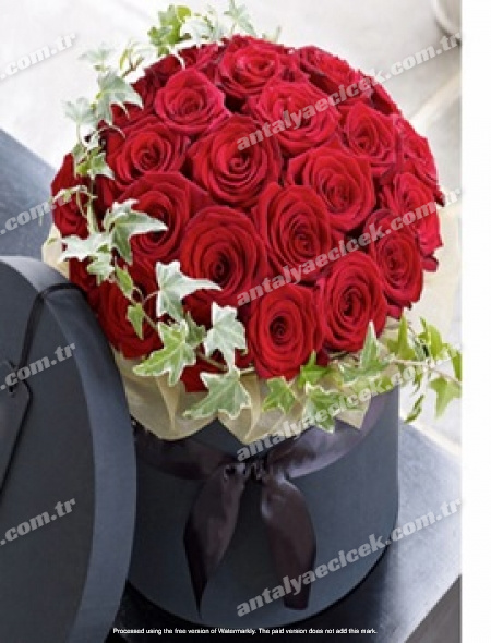 Kutuda 35 Kırmızı Gül Vip