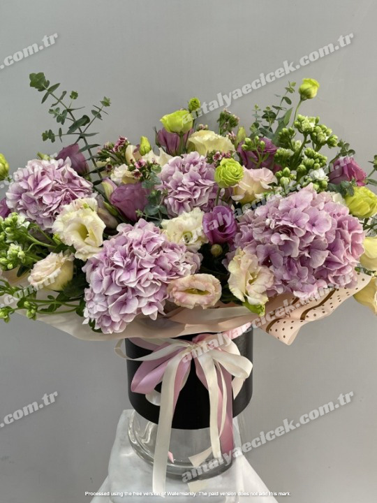 Kutuda İthal Ortanca Aranjmanı