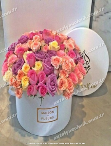 Kutuda İthal 101 Renkli Özel Güller VIP