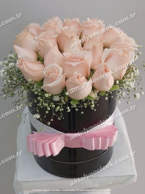 Kutuda İthal Yavruağzı Somon Gül 21 Adet