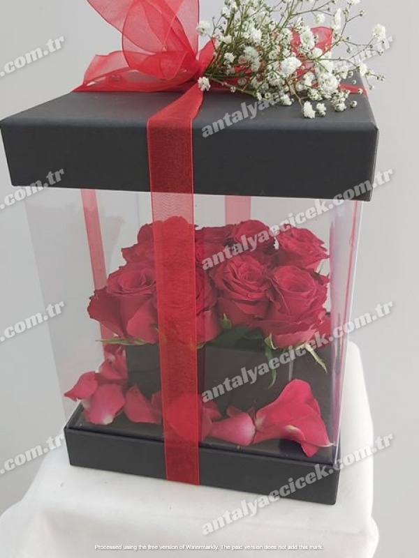 Kutuda Romantik Güller