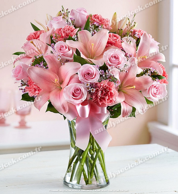 Pembe Lilyum Güller