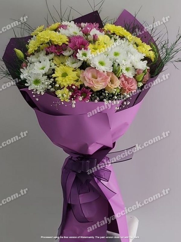 Renkli Papatya Buketi