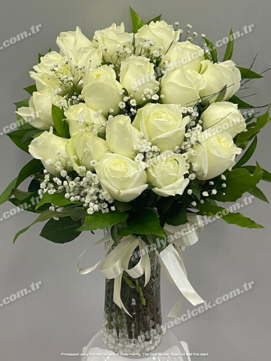 Vazoda 21 Beyaz Gül